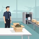 Aduanas intercepta paquete con tortugas vivas en peligro de extinción en el Aeropuerto de Hong Kong