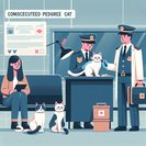 Hong Kong Customs seize HK$75,000 pedigree cats in Lo Wu rucksack sting