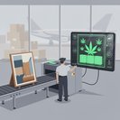 Cyprus Customs Intercept 6 kg Cannabis Shipment at Larnaca Airport