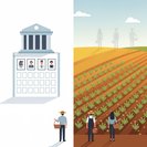 Working-holiday visa caps spark farm-sector alarm over harvest labour