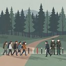 Six migrants caught crossing the ‘green border’ from Lithuania into Poland
