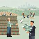 Federal Government Agrees to Fast-Track Urgent Backpacker Visas for Farmers